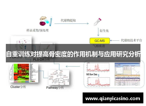 自重训练对提高骨密度的作用机制与应用研究分析